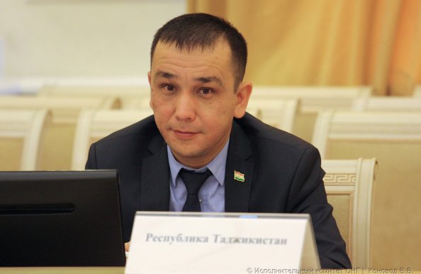 Эксперты стран СНГ обсудили предложения по актуализации Концепции дальнейшего развития Содружества Независимых Государств