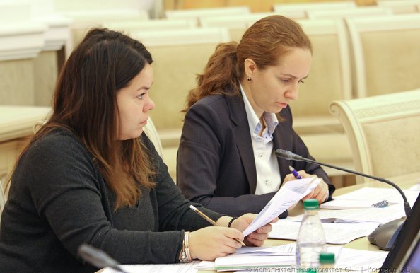 Эксперты стран СНГ обсудили предложения по актуализации Концепции дальнейшего развития Содружества Независимых Государств