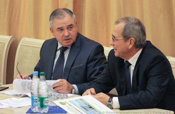 Эксперты стран СНГ обсудили предложения по актуализации Концепции дальнейшего развития Содружества Независимых Государств
