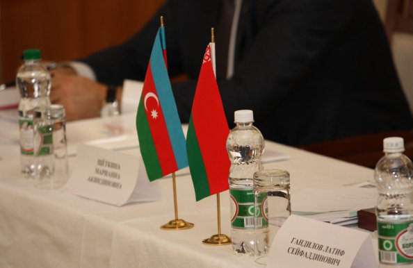 Азербайджан является активным участником многостороннего сотрудничества на пространстве СНГ, вносит весомый вклад в реализацию значимых документов – В.Гуминский