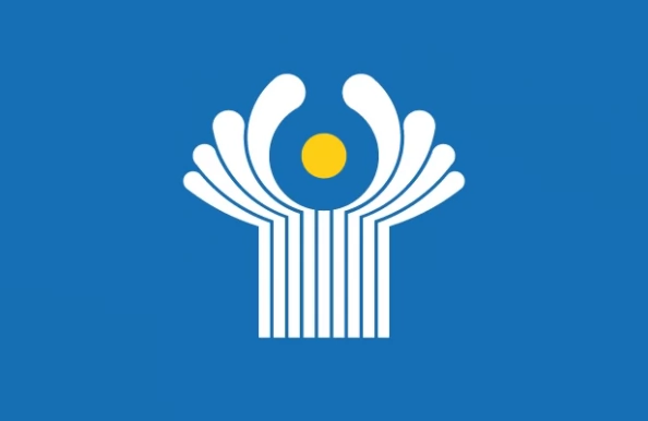 Промежуточный отчет Миссии наблюдателей от СНГ о ходе наблюдения за подготовкой выборов депутатов Государственной Думы Федерального Собрания Российской Федерации девятого созыва